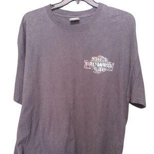 Harley-Davidson Charcoal Short Sleeve Tee 2xl And Flames Skull Cap